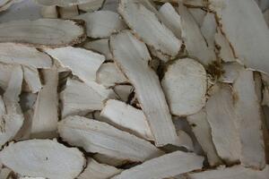 Bạch chỉ và các tác dụng chữa bệnh