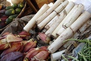 Những lợi ích không ngờ từ thân cây chuối