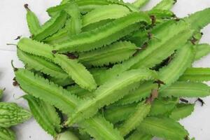 Những bài thuôc dan gian chữa bệnh đau dạ dầy, tá tràng