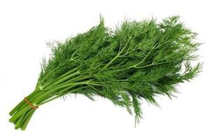Một số bài thuốc hay từ cây thì là