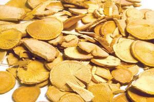 Cây mộc thông- vị thuốc lợi niệu, thông huyết mạch