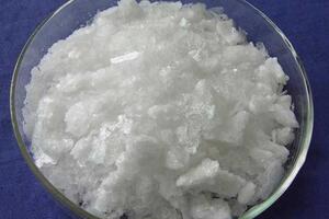 Vị thuốc chữa được nhiều bệnh -Mai hoa băng phiến