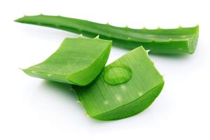 Cây lô hội, vị thuốc giải độc, thanh nhiệt