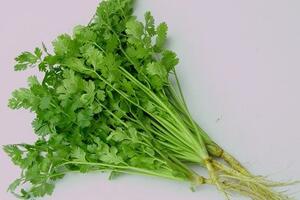 Rau mùi hỗ trợ điều trị bệnh sởi