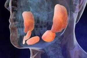Bài thuốc dân gian hỗ trợ điều trị bệnh quai bị