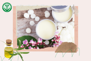 Tự làm son dưỡng môi tự nhiên từ thảo mộc