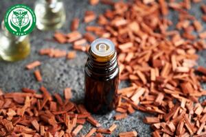 Lợi ích tinh dầu gỗ đàn hương cho não bộ và cơ thể