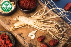 Tác dụng của nhân sâm và ginsenosides đối với hệ thần kinh trung ương