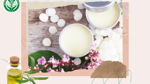 Tự làm son dưỡng môi tự nhiên từ thảo mộc