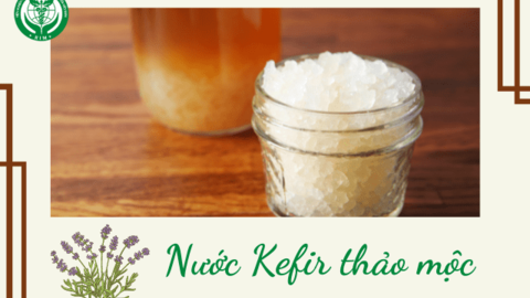 Nước kefir - Soda thảo mộc tự nhiên