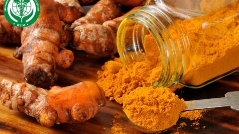 Củ nghệ và chất chống oxy hóa curcumin