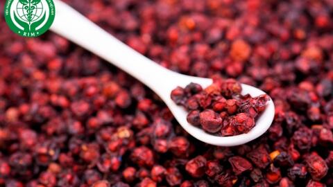 Sự kì diệu của vị thuốc ngũ vị tử trong y học cổ truyền