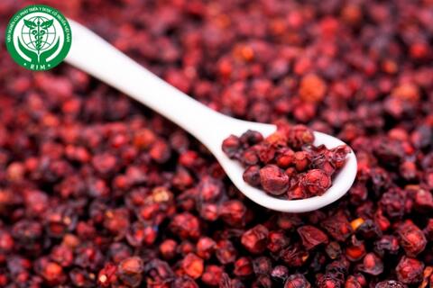 Sự kì diệu của vị thuốc ngũ vị tử trong y học cổ truyền