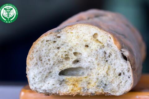 Nấm mốc trong thực phẩm