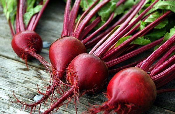 Những tác dụng trị bệnh từ củ dền đỏ