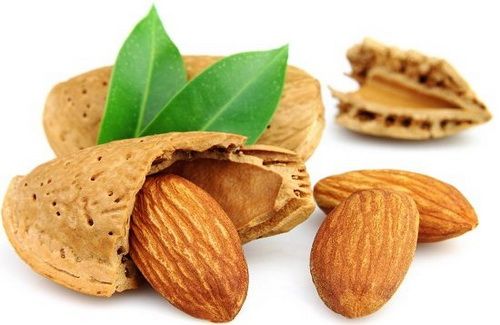 Hạnh nhân vị thuốc hỗ trợ điều trị bệnh táo bón