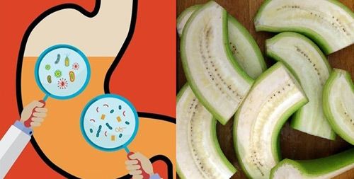 Chuôi xanh có nhiều tác dụng sức khỏe