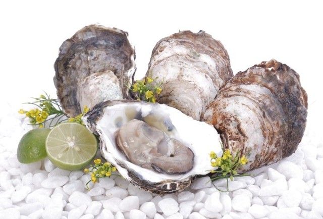 Mẫu lệ có tác dụng chữa trị chứng mồ hôi trộm