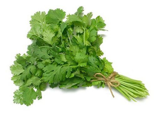 Rau mùi có nhiều tác dụng sức khỏe đối với cơ thể người